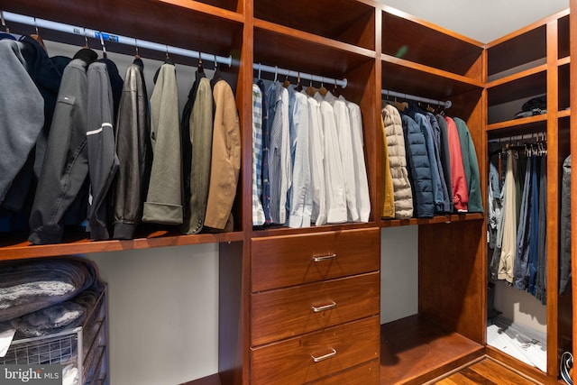 spacious closet with wood finished floors