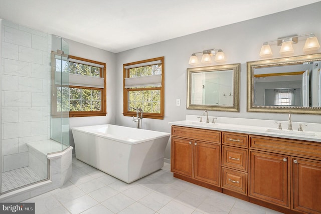 bathroom featuring a sink, a freestanding tub, double vanity, and a shower stall