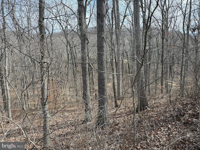 Listing photo 3 for 240 Howellsville Rd Unit Lot236, 238, 239, Front Royal VA 22630