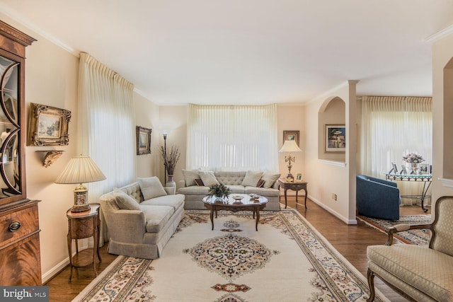 living room with baseboards, wood finished floors, and crown molding