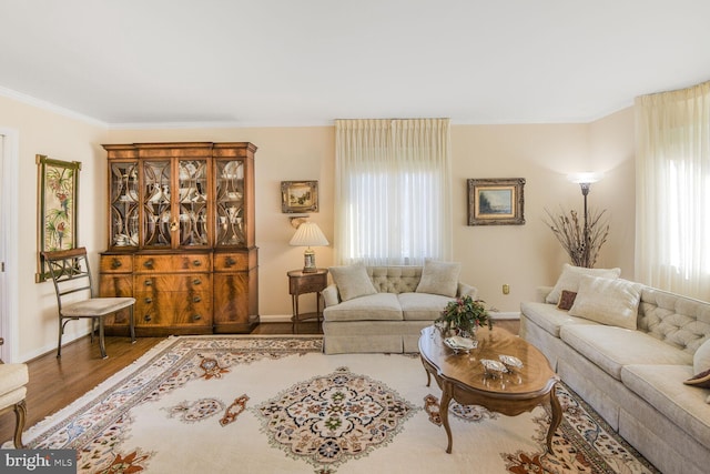 living area featuring ornamental molding, baseboards, and wood finished floors