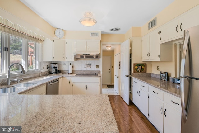 kitchen featuring appliances with stainless steel finishes, a sink, visible vents, and under cabinet range hood