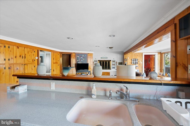 kitchen with crown molding and a sink