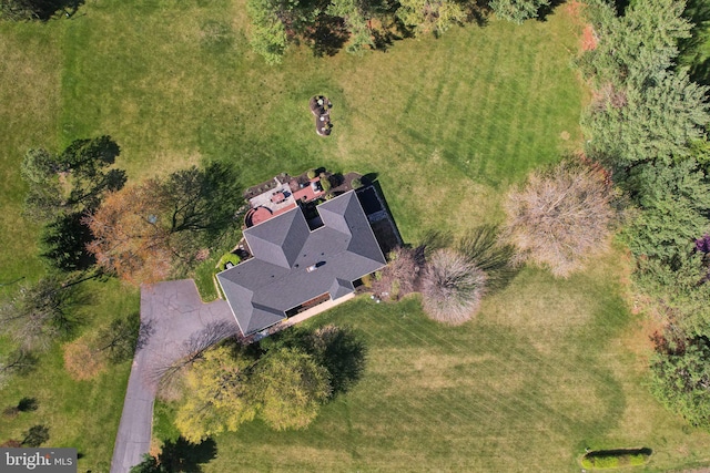 drone / aerial view