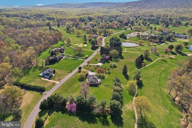 birds eye view of property featuring a water view and a forest view