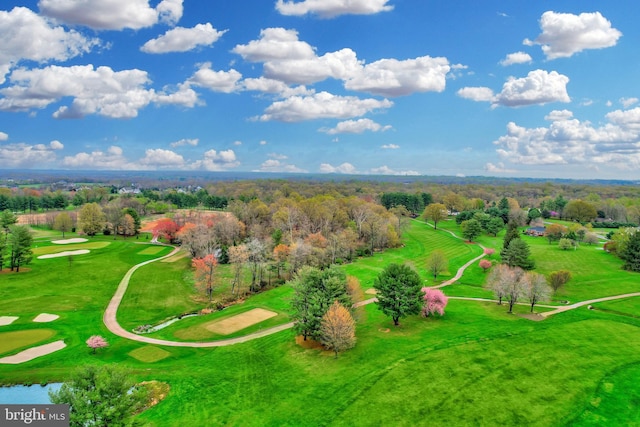 bird's eye view with view of golf course
