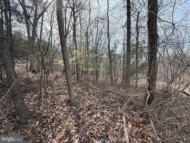 LOT62 Roaches Run Rd, Front Royal VA, 22630 land for sale