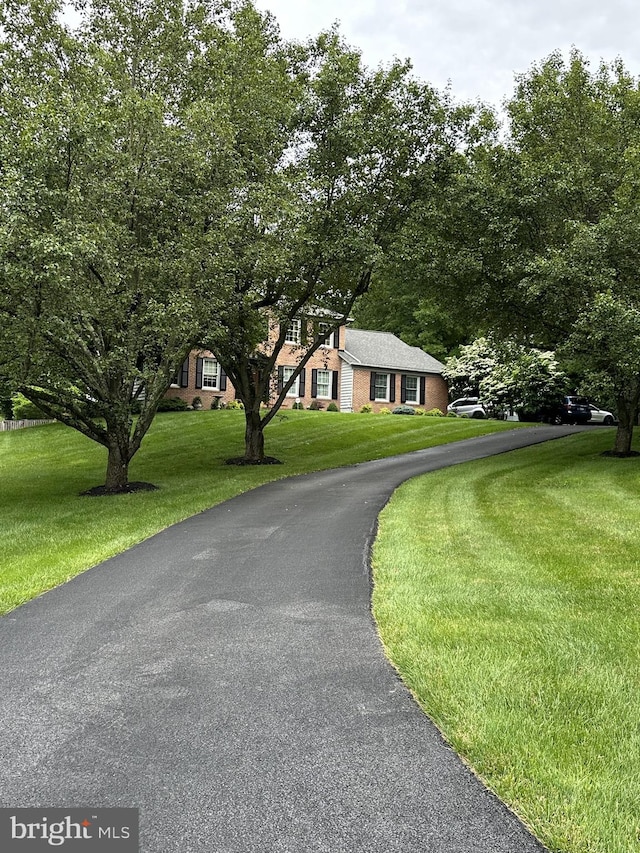 view of front facade with driveway, a front lawn, and brick siding