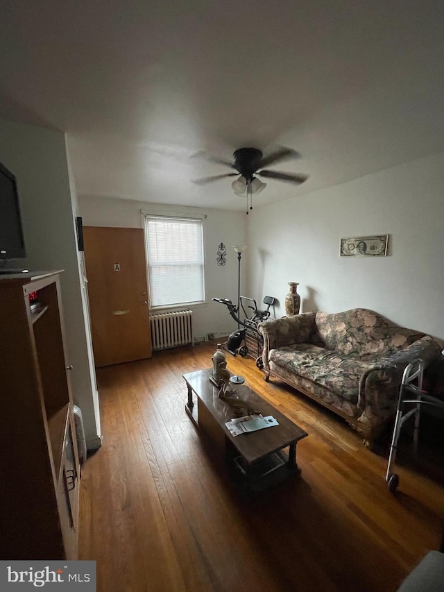 living room featuring wood-type flooring, radiator, and a ceiling fan