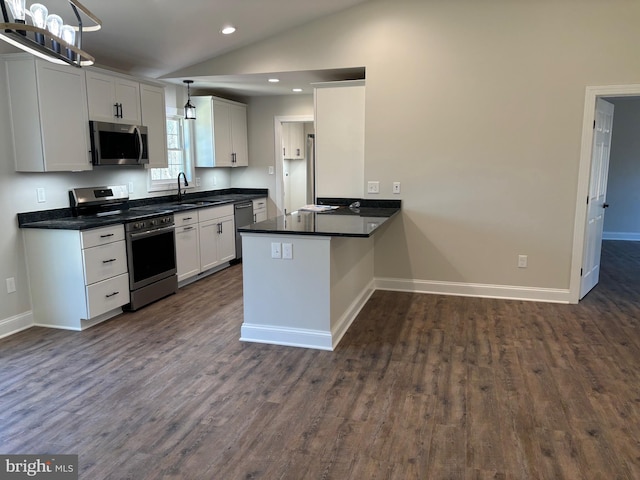 601 Gibbs Rd, Madison, VA 22727 - kitchen featuring appliances with stainless steel finishes, lofted ceiling, dark wood-type flooring, and dark countertops