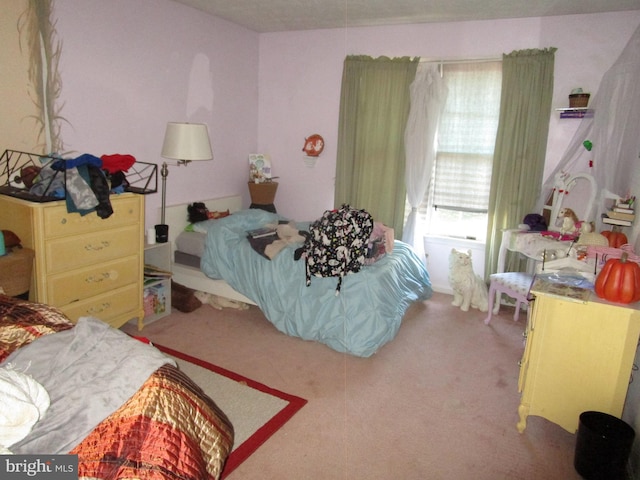 view of carpeted bedroom