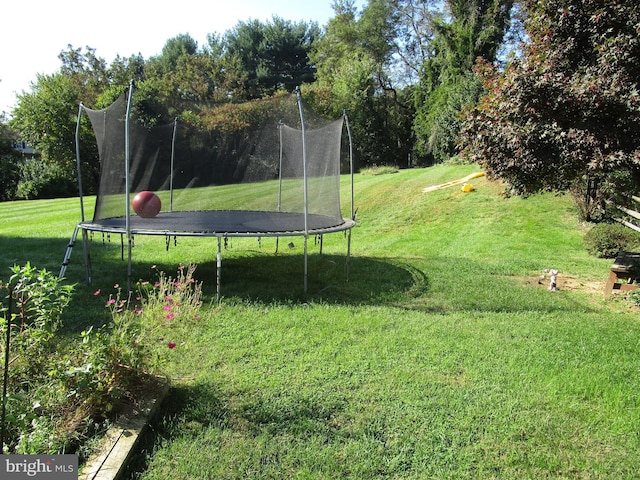 view of yard featuring a trampoline