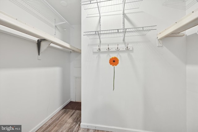 spacious closet with wood finished floors