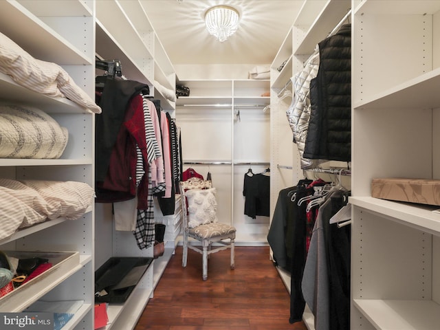 walk in closet featuring dark wood-style flooring