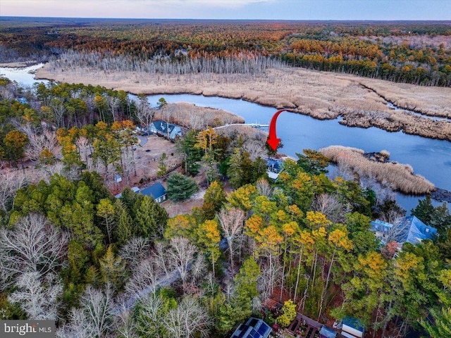 bird's eye view featuring a water view