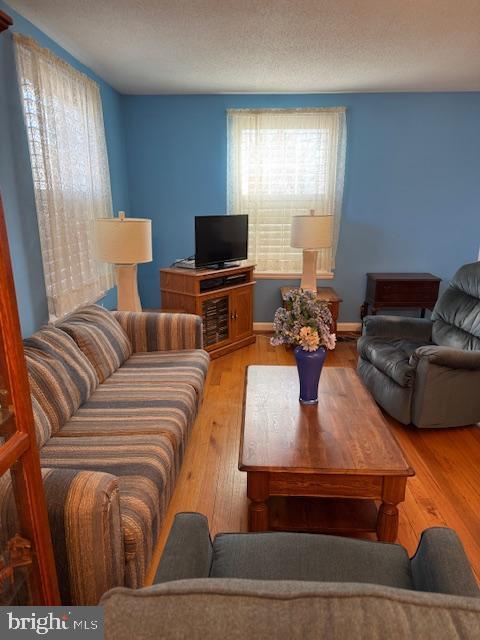 living area featuring wood finished floors