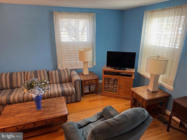 living room with light wood-type flooring and baseboards