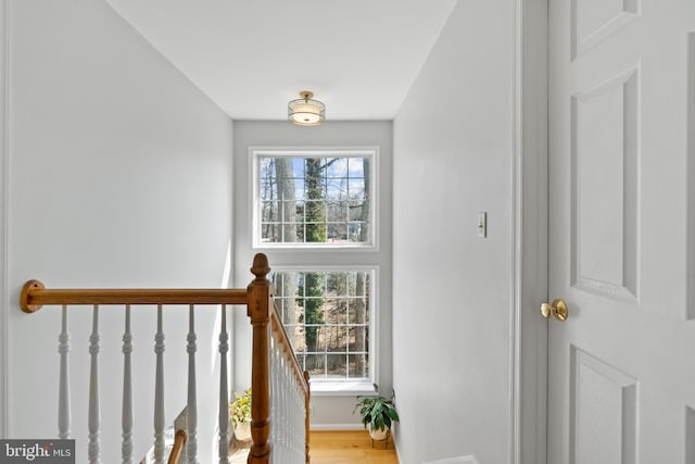 staircase with wood finished floors