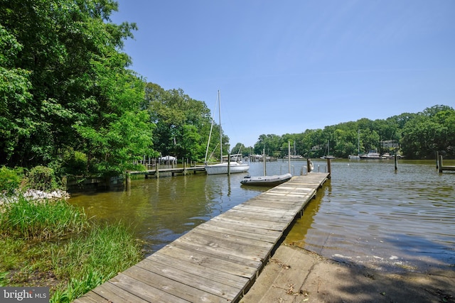 dock area with a water view