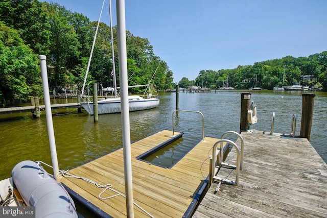 dock area with a water view