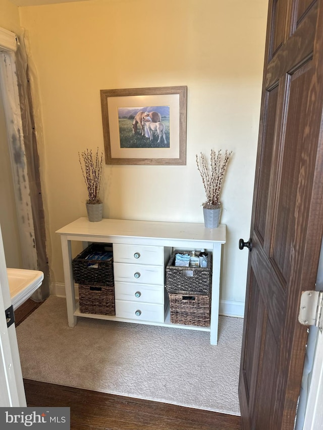 374 Finley Rd, Raphine, VA 24472 - interior space featuring baseboards and carpet flooring