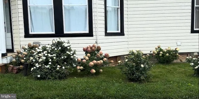 374 Finley Rd, Raphine, VA 24472 - view of side of property with a yard