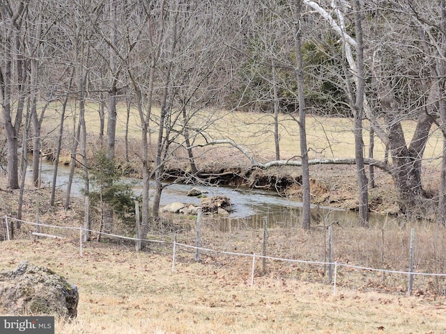 374 Finley Rd, Raphine, VA 24472 - view of nature