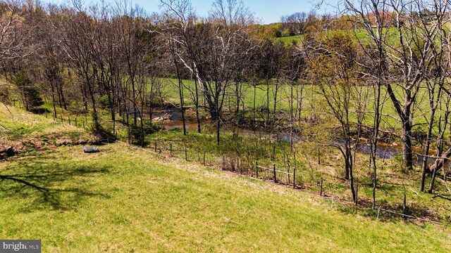 374 Finley Rd, Raphine, VA 24472 - view of yard