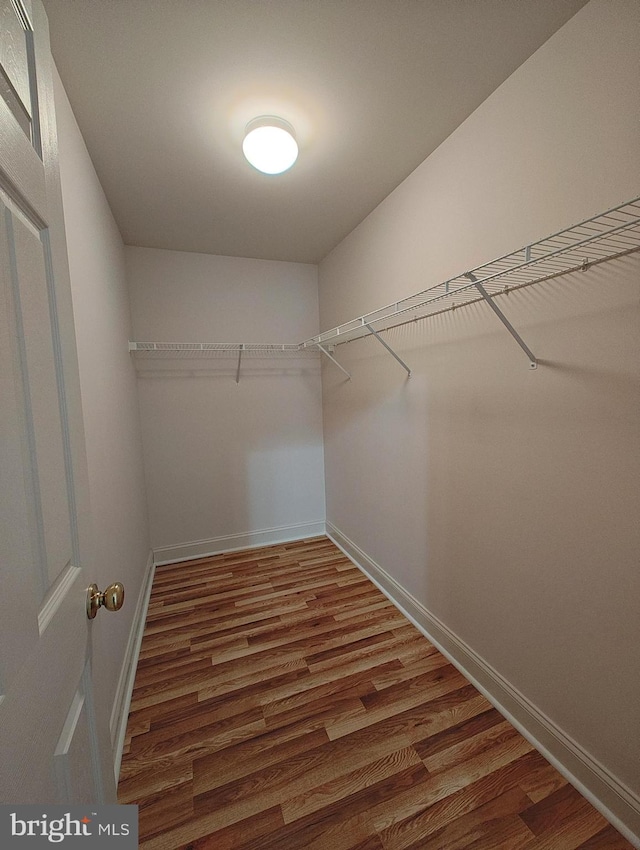 walk in closet with wood finished floors