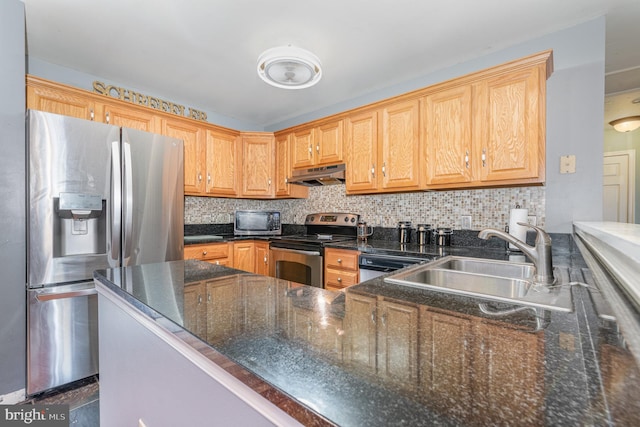 kitchen featuring backsplash, appliances with stainless steel finishes, a sink, a peninsula, and under cabinet range hood