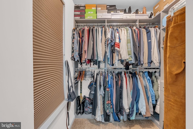 walk in closet featuring carpet