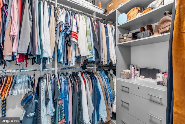 view of walk in closet