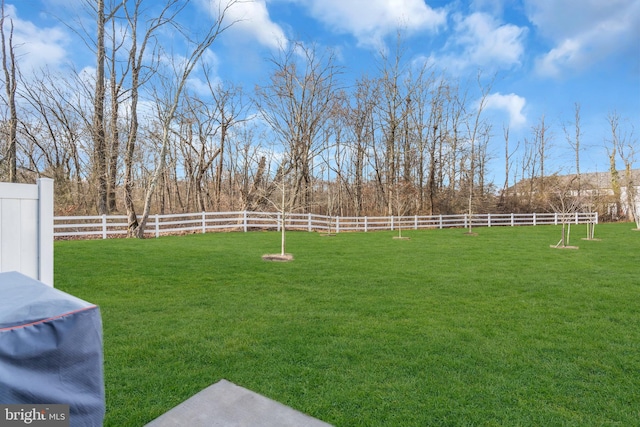 view of yard with fence and a rural view