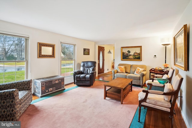 living area with carpet floors