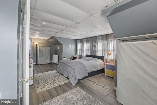 bedroom featuring radiator, a drop ceiling, and wood finished floors