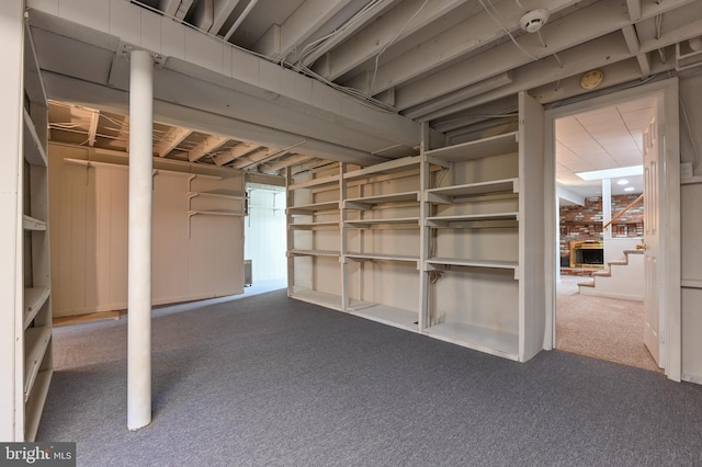 unfinished basement with carpet