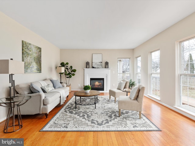 living area with a glass covered fireplace, wood-type flooring, and baseboards