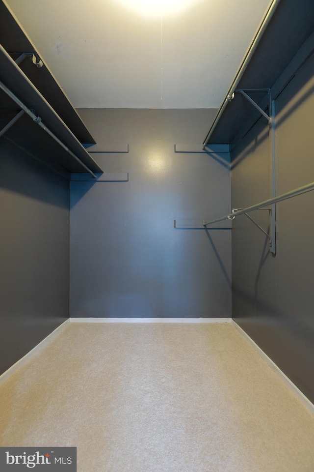 spacious closet with carpet floors