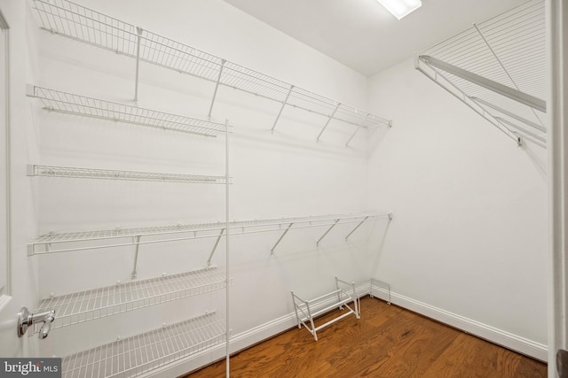 spacious closet featuring wood finished floors