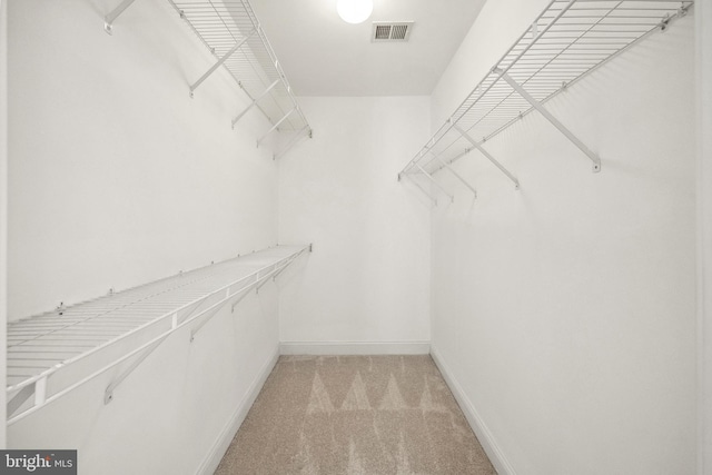 spacious closet featuring light colored carpet and visible vents