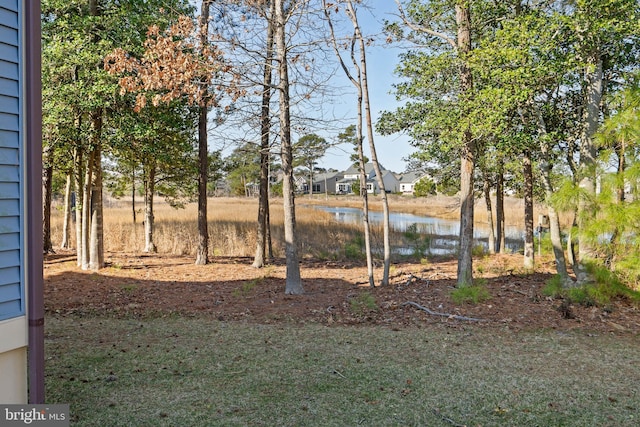 view of yard featuring a water view