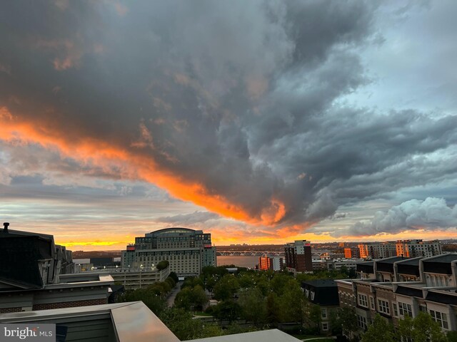 514 Overlook Park Dr Unit 34, National Harbor, MD 20745 - property's view of city