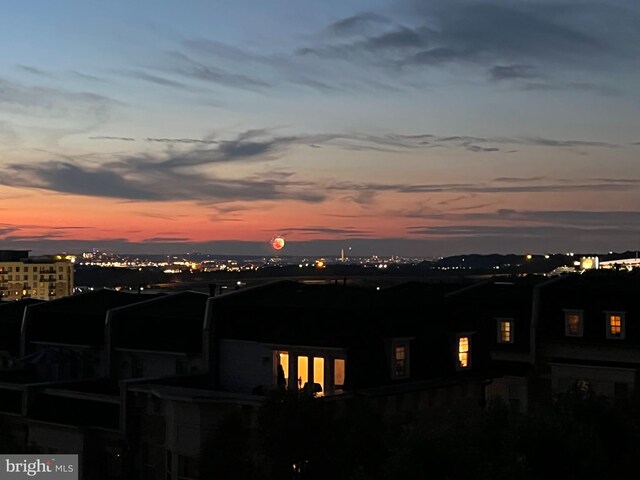 514 Overlook Park Dr Unit 34, National Harbor, MD 20745 - view of city