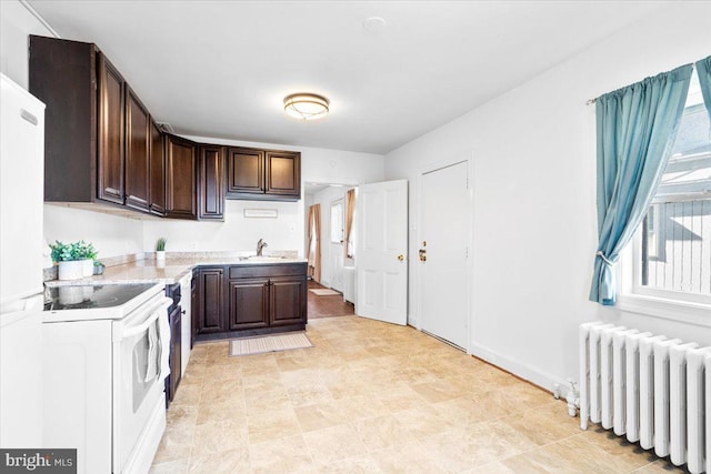 kitchen featuring radiator, light countertops, dark brown cabinetry, a sink, and white appliances