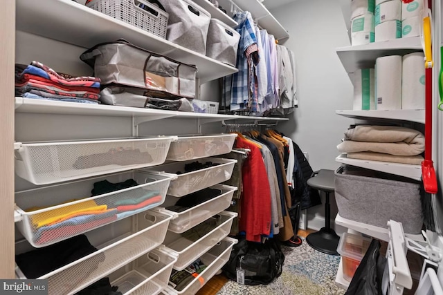 walk in closet featuring wood finished floors