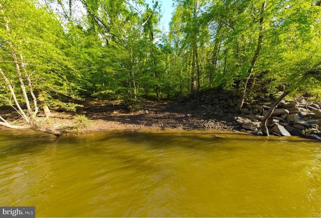 property view of water with a view of trees