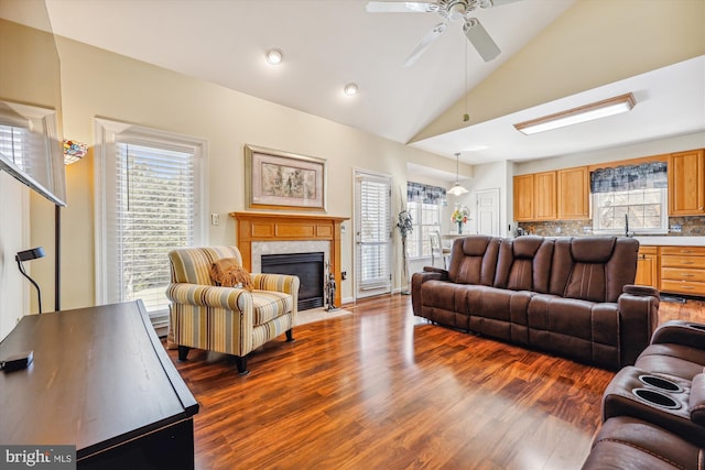 living area featuring lofted ceiling, ceiling fan, a premium fireplace, and dark wood finished floors