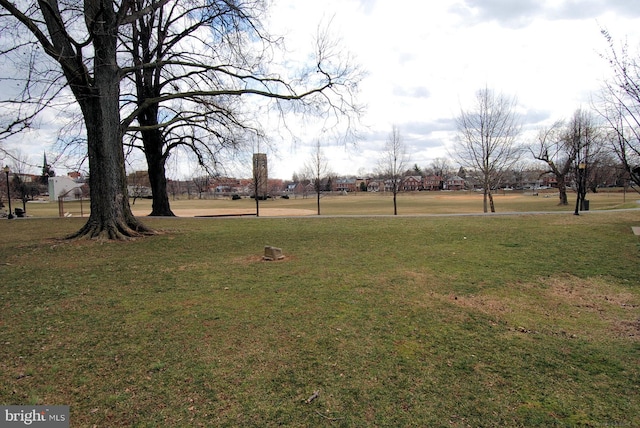 view of community with a lawn