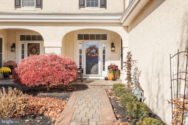 entrance to property featuring stucco siding