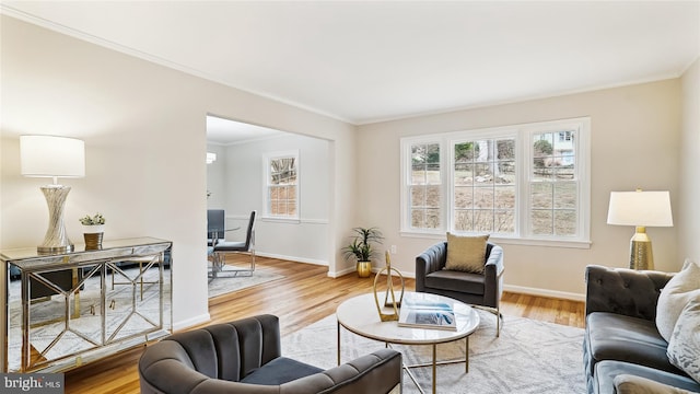 living room featuring crown molding, baseboards, and wood finished floors